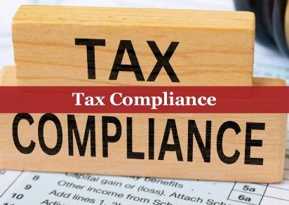 Tax Compliance and Financial Advisory